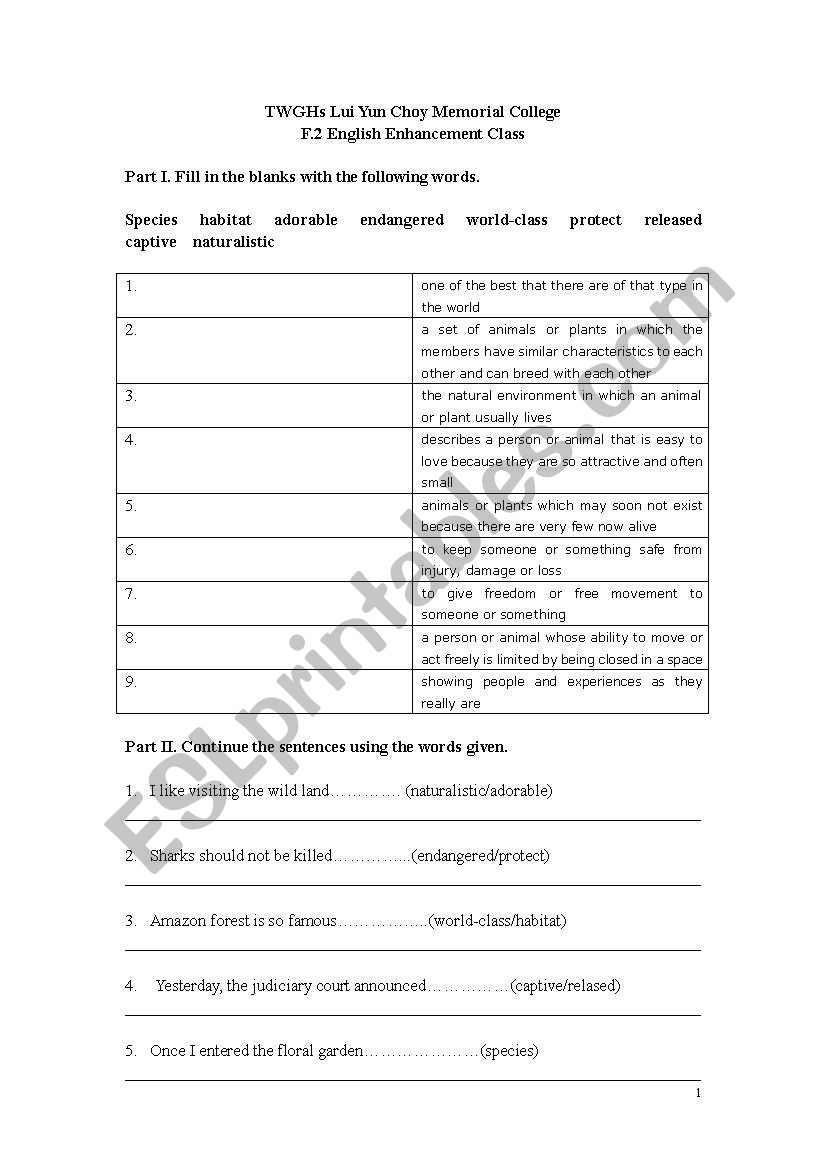 English Worksheets Vocabulary