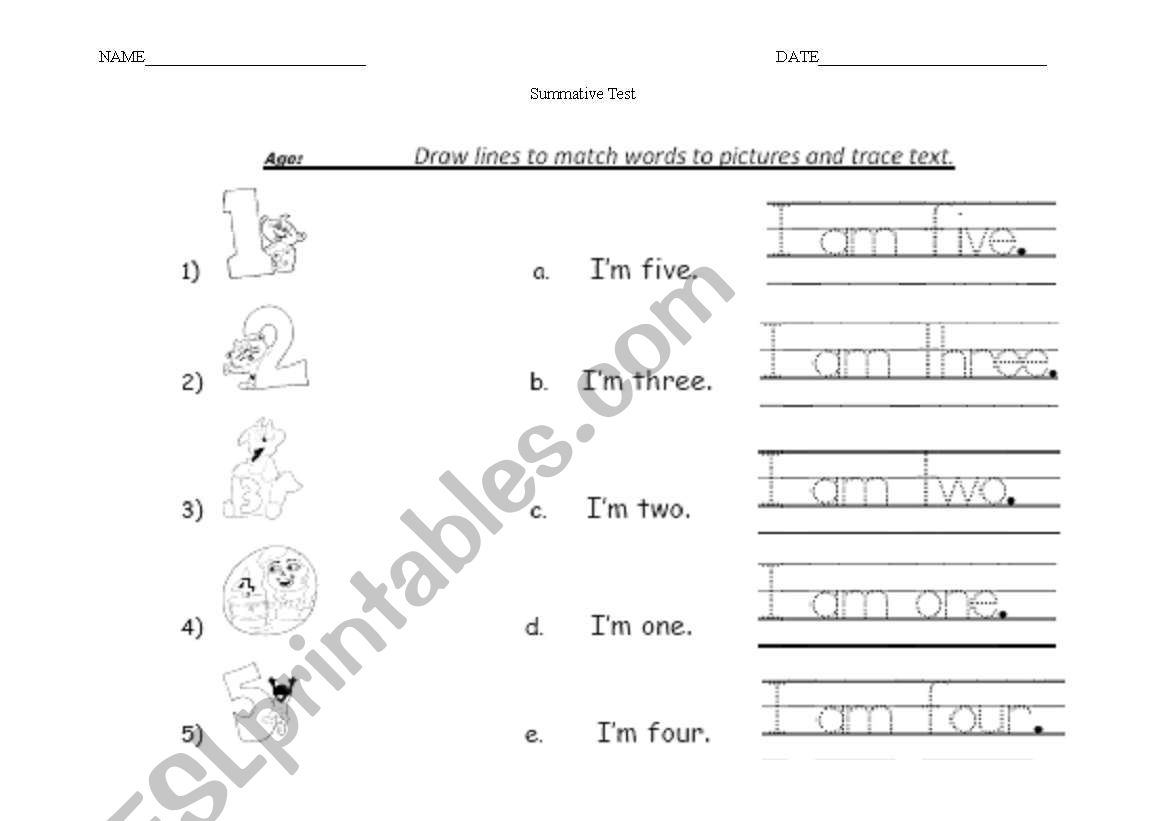 Summative Test worksheet