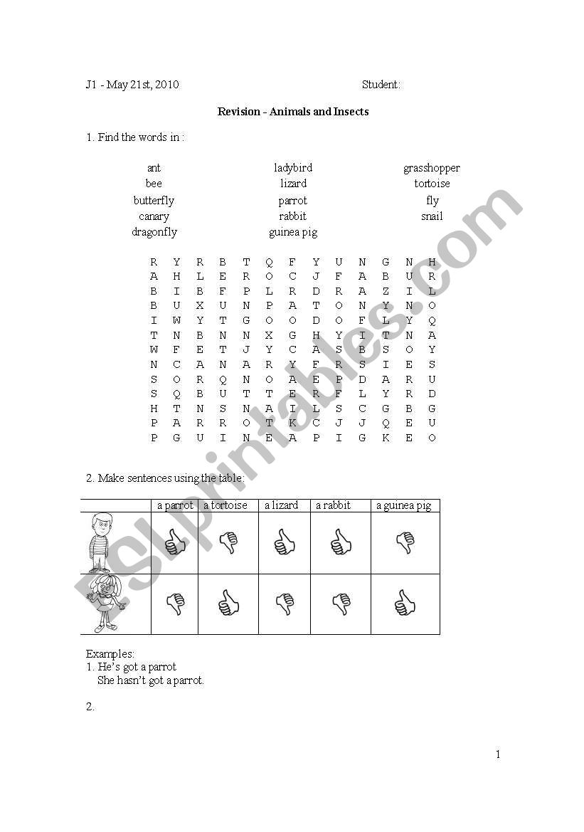 Animals and Insects worksheet