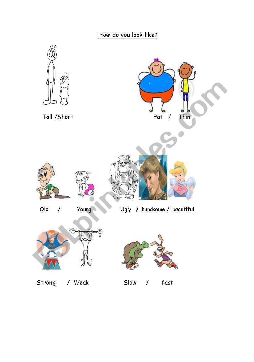 Adjective worksheet