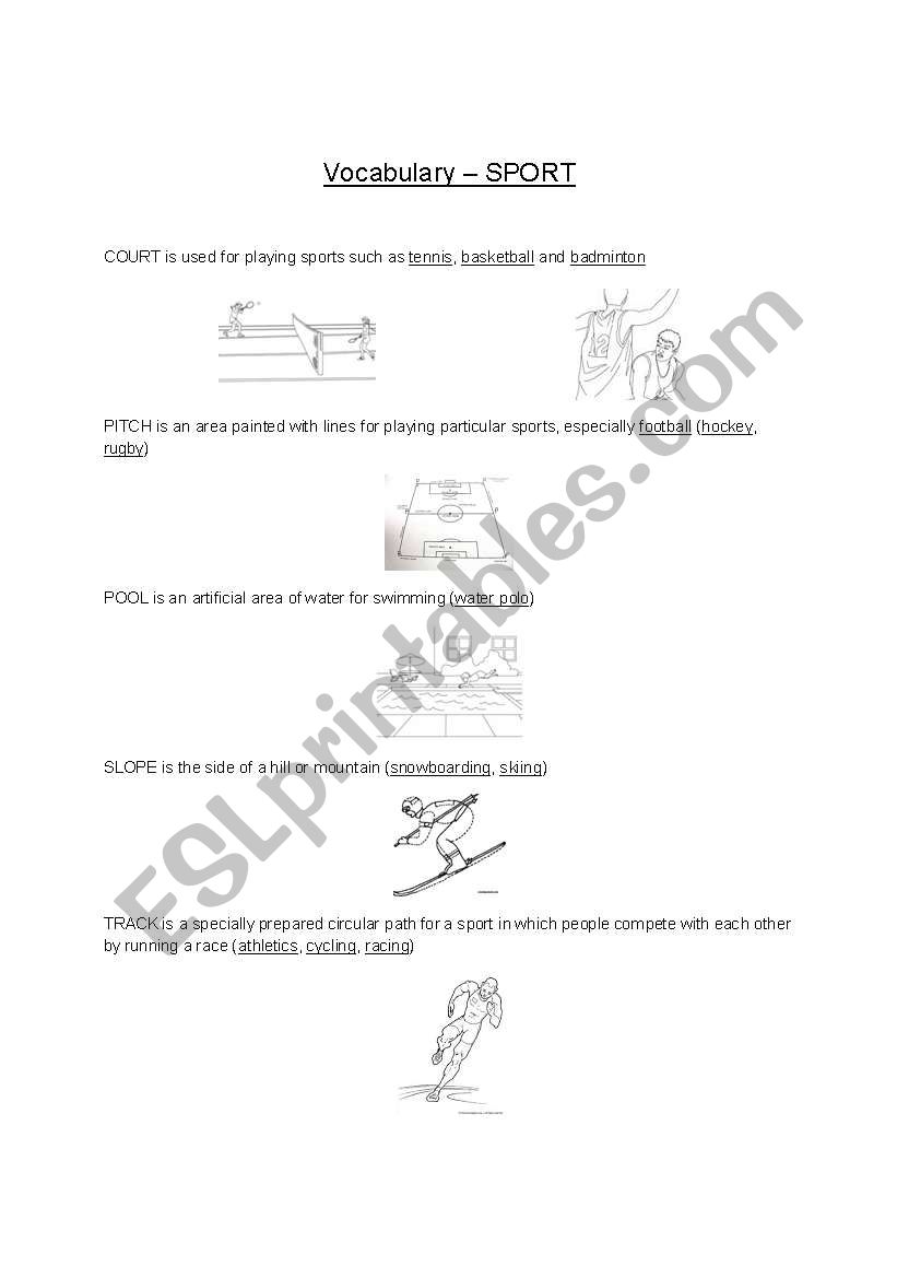 Sport worksheet