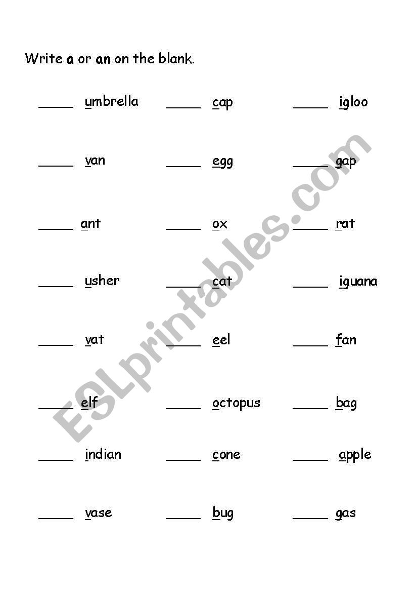 a and an worksheet