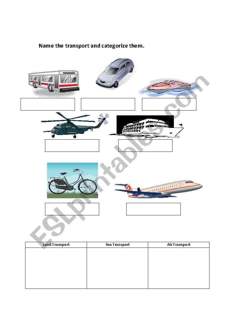 Transport worksheet