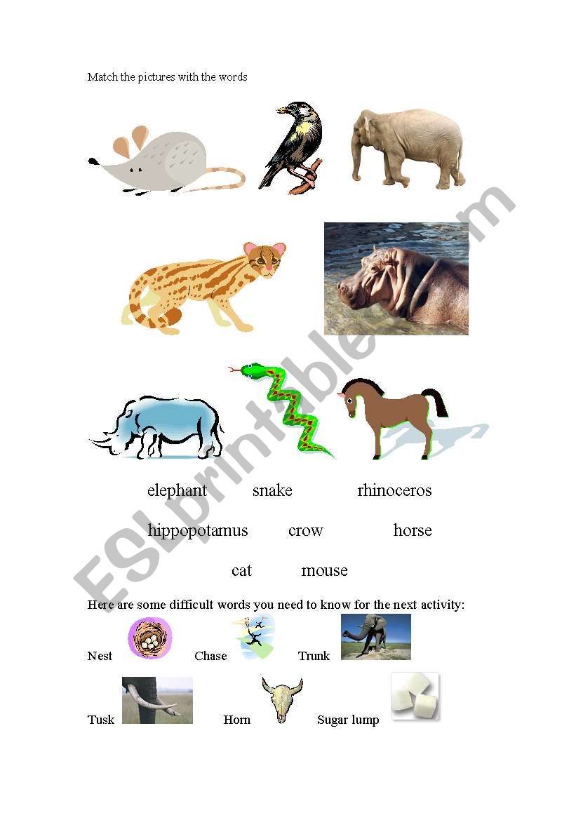 Animal match quiz, 1 of 2 worksheet