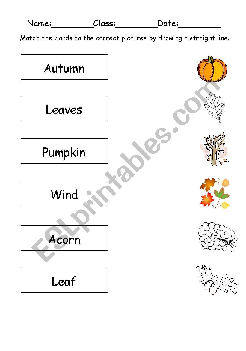 Autumn worksheet