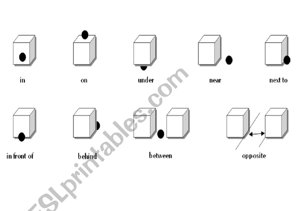 prepositions worksheet