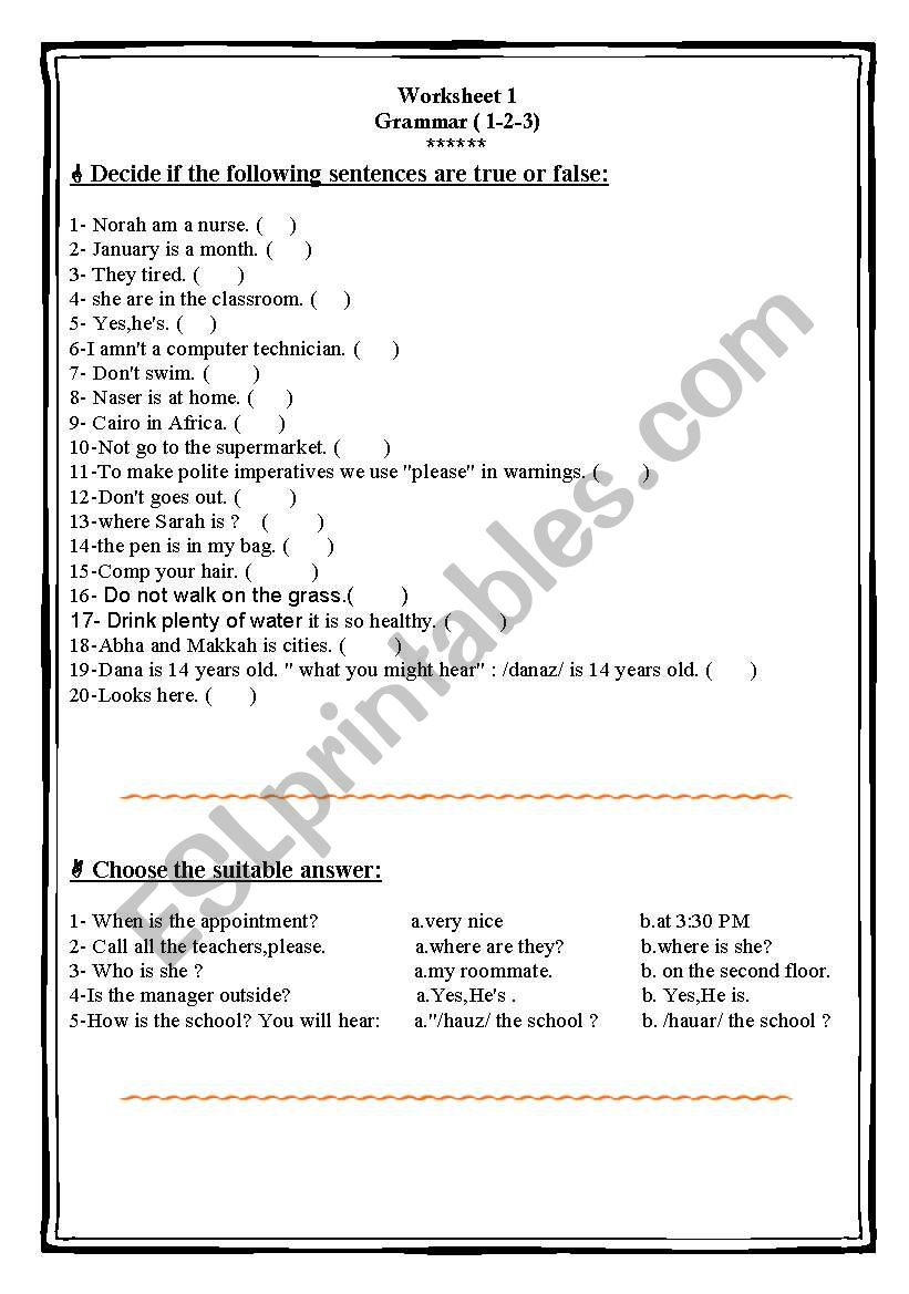 General Grammar worksheet