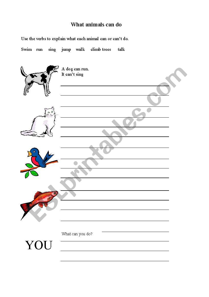 What can animals do worksheet