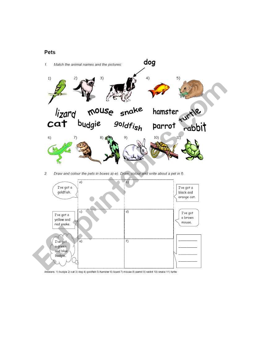 PETS worksheet