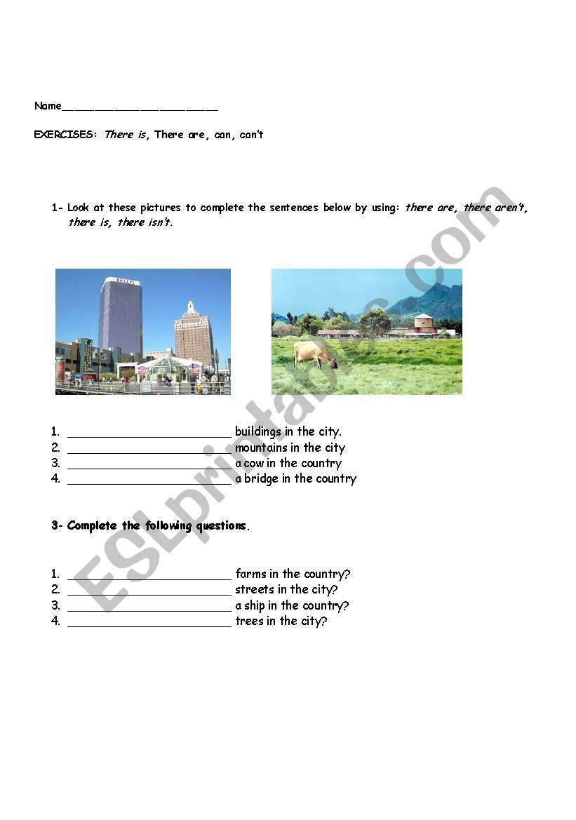 worksheet: there is, there are, can, cant