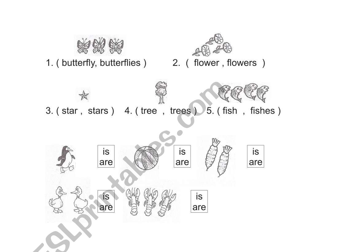 usage of is and are worksheet