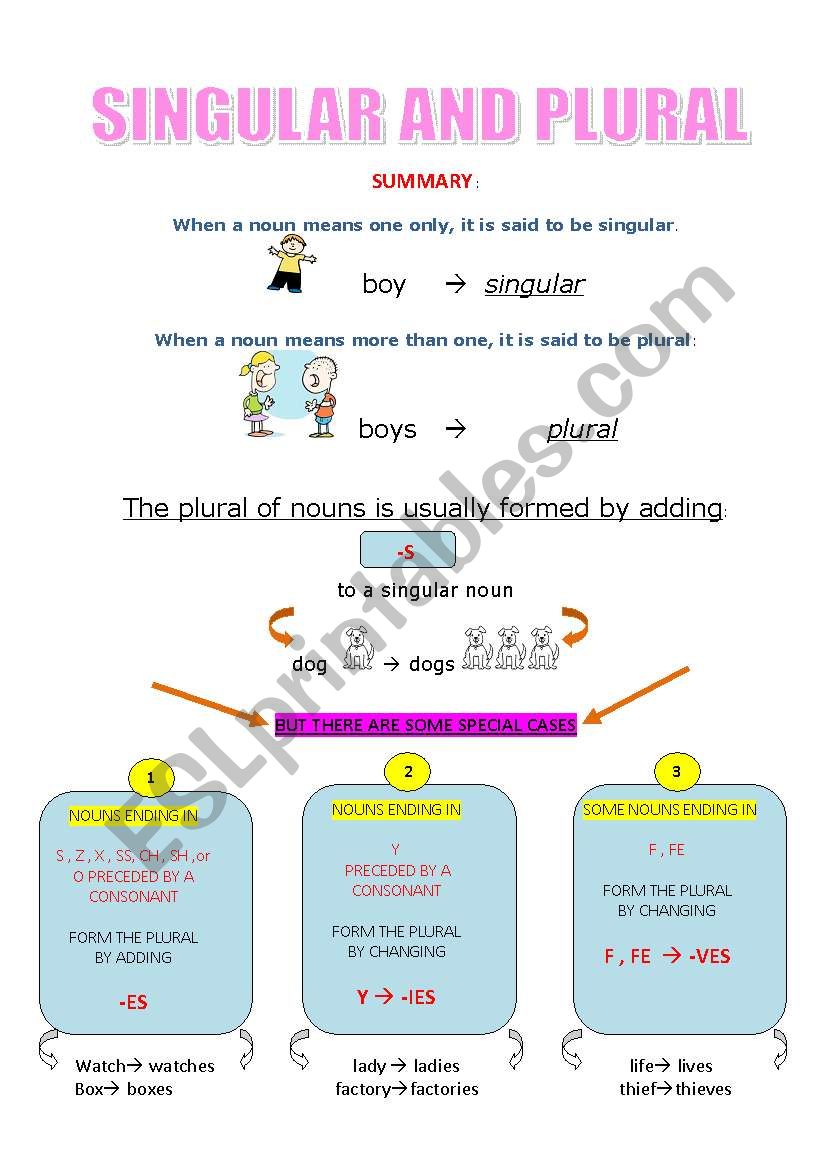 singular and plural  worksheet