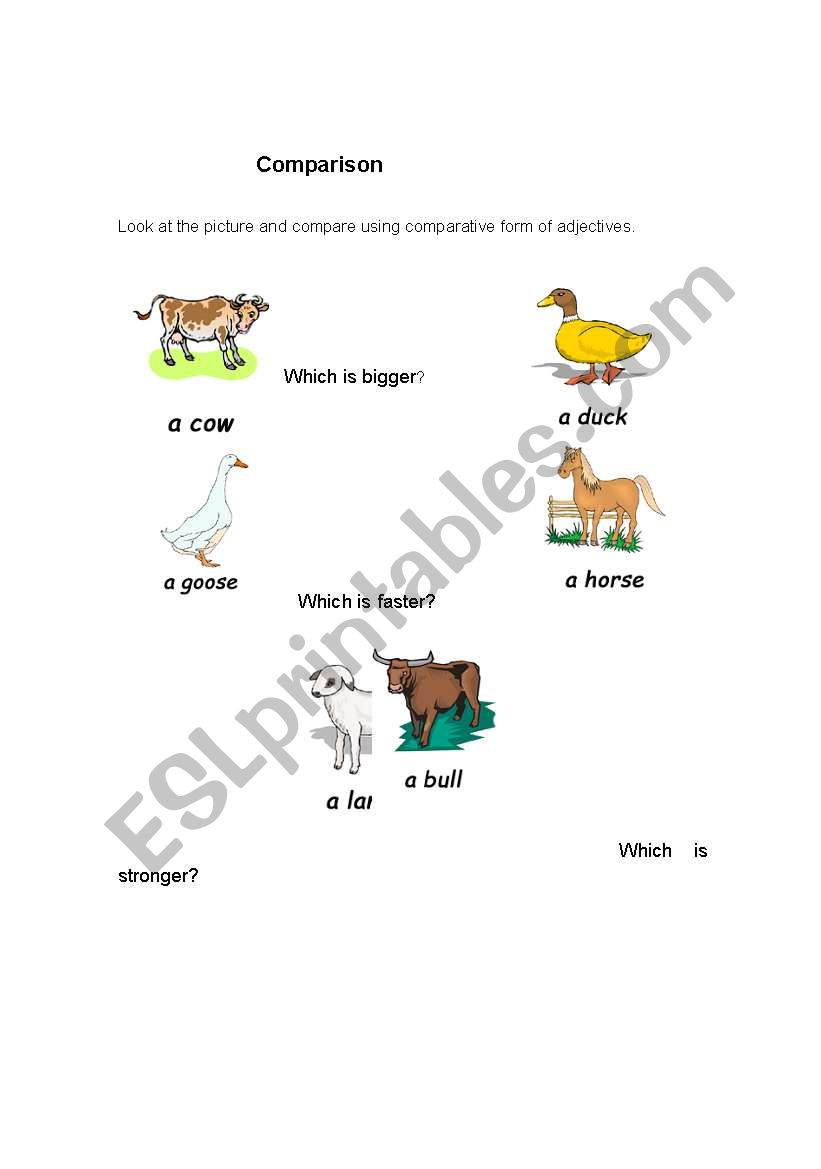 comparison worksheet