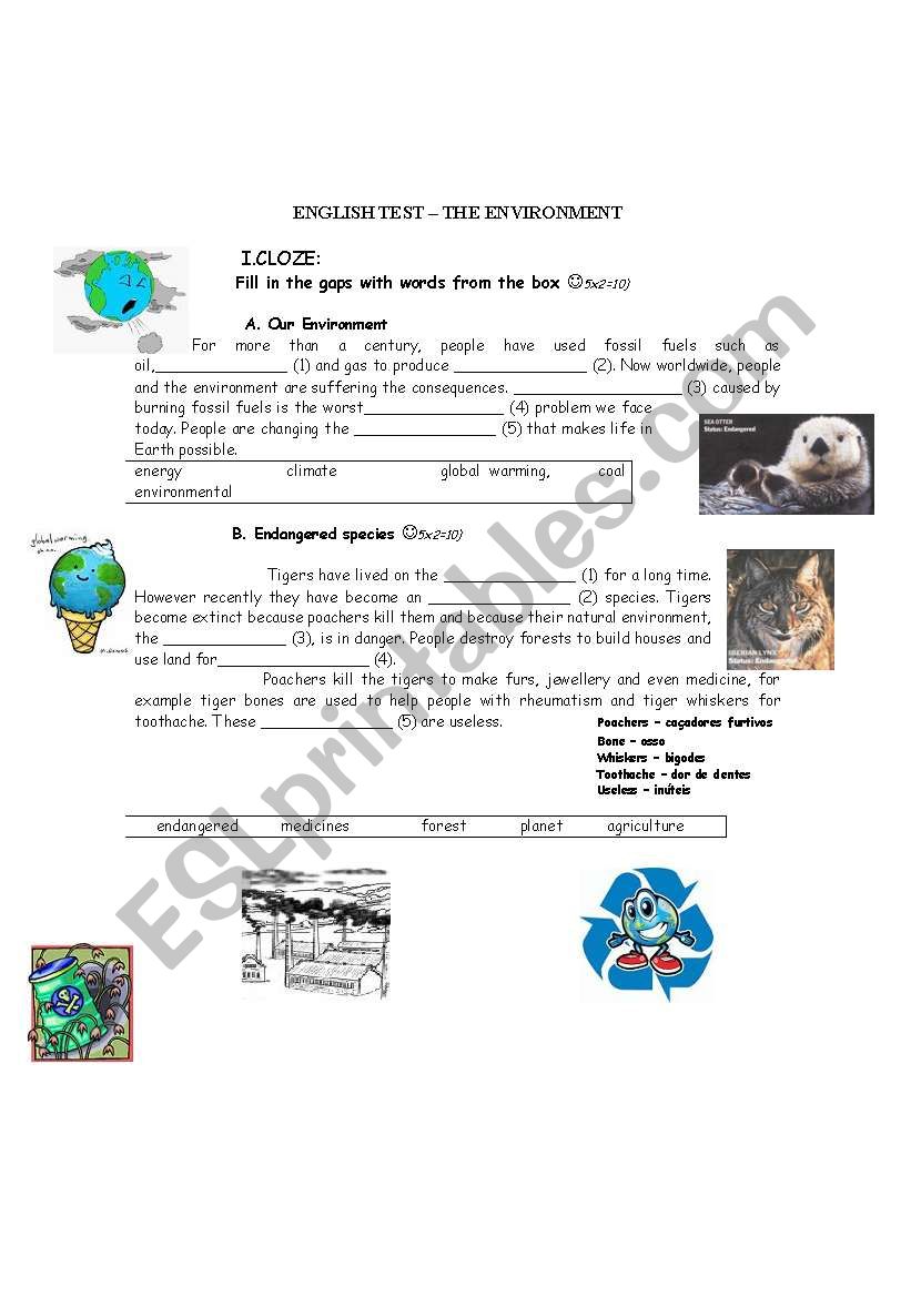 TEST - ENVIRONMENT worksheet