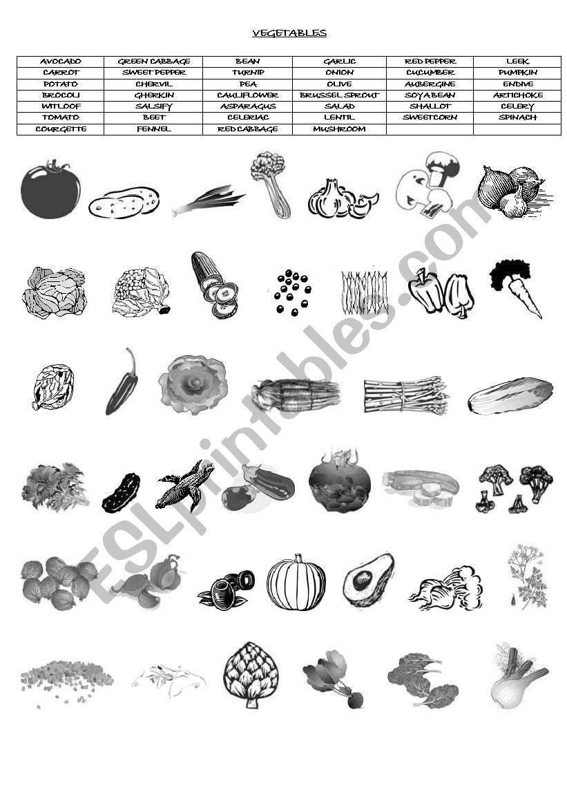 VEGETABLES (FOOD VOCABULARY) worksheet