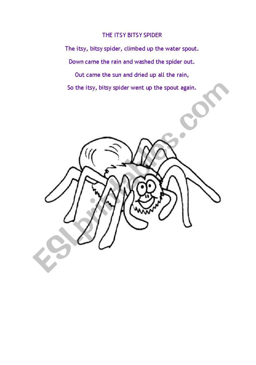 The Itsy Bitsy Spider Song - ESL worksheet by carolinekmurray