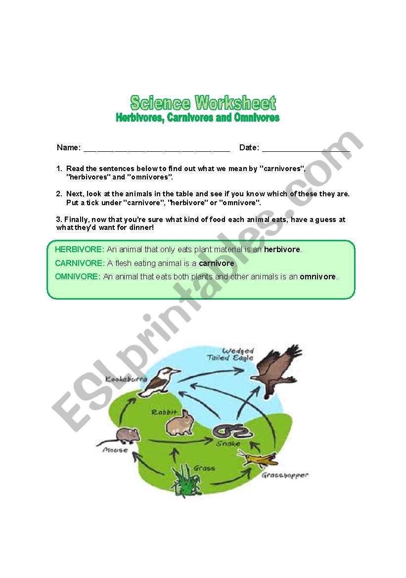 herbivores, carnivores and omnivore worksheet