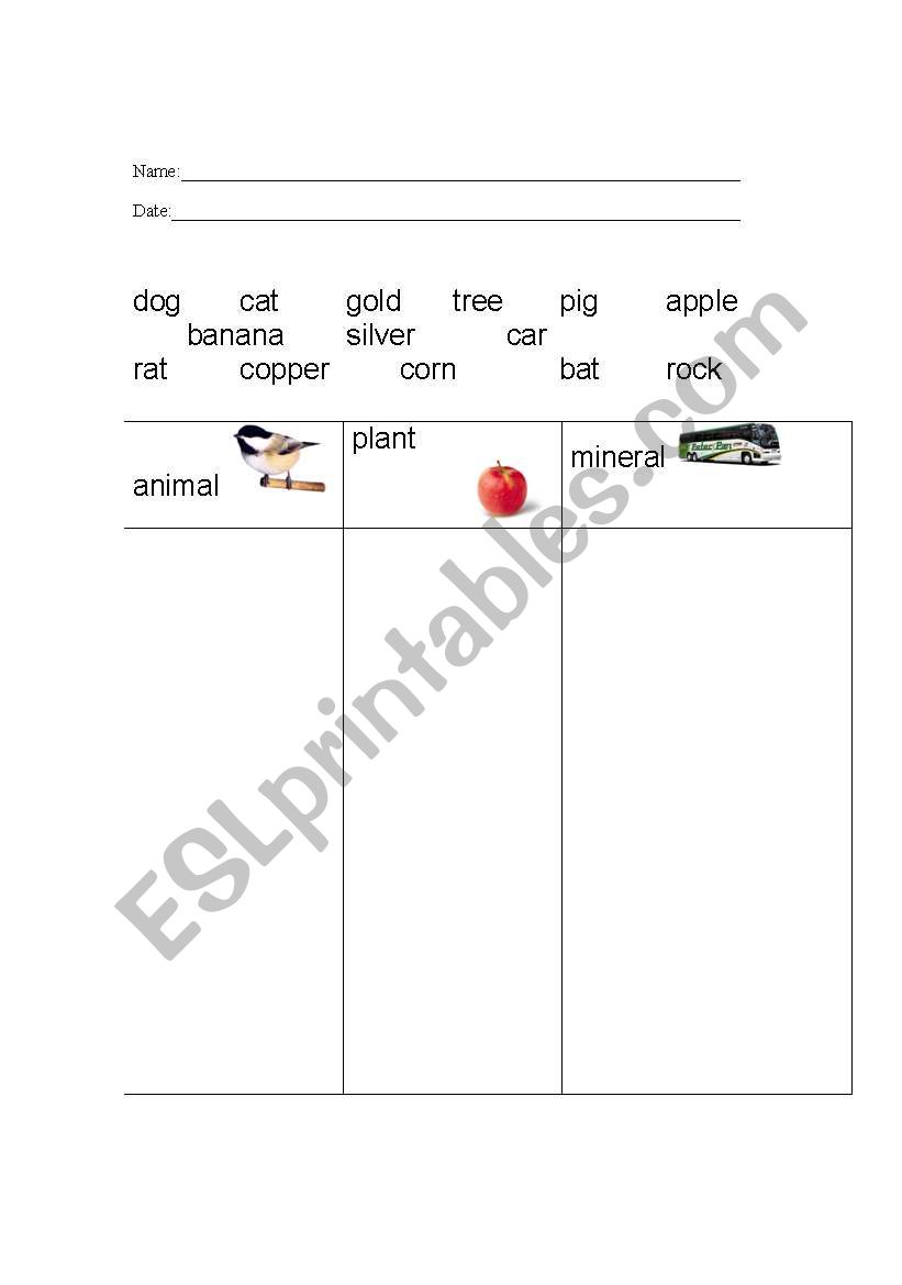 Animal Plant or Mineral worksheet