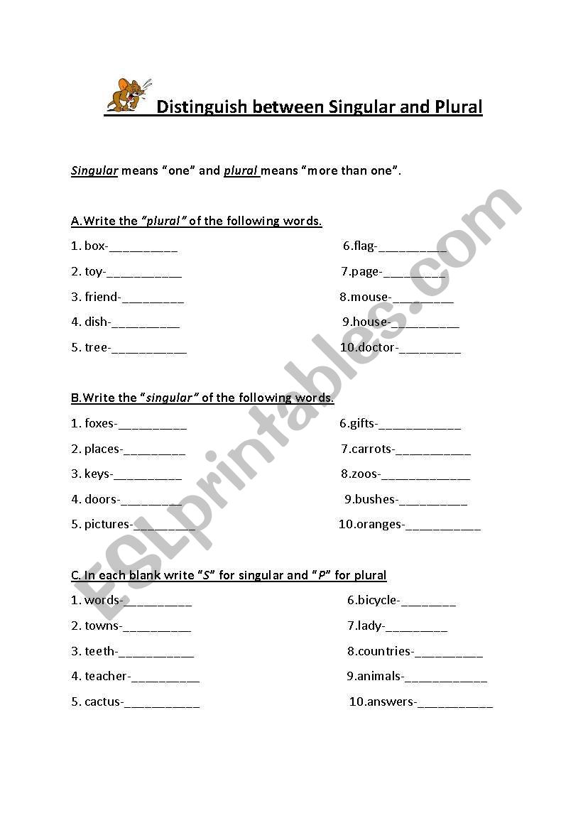 singular and plural worksheet