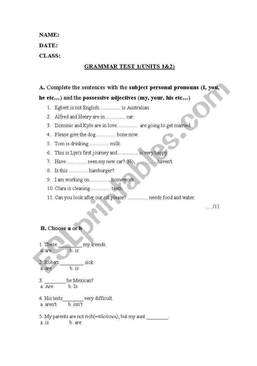 Grammar Test for pre-elementary learners