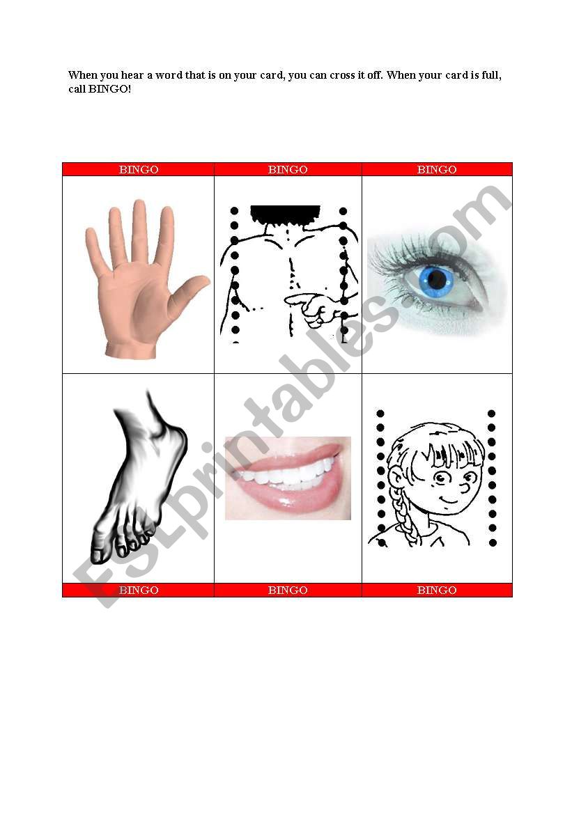 Bodyparts bingo worksheet