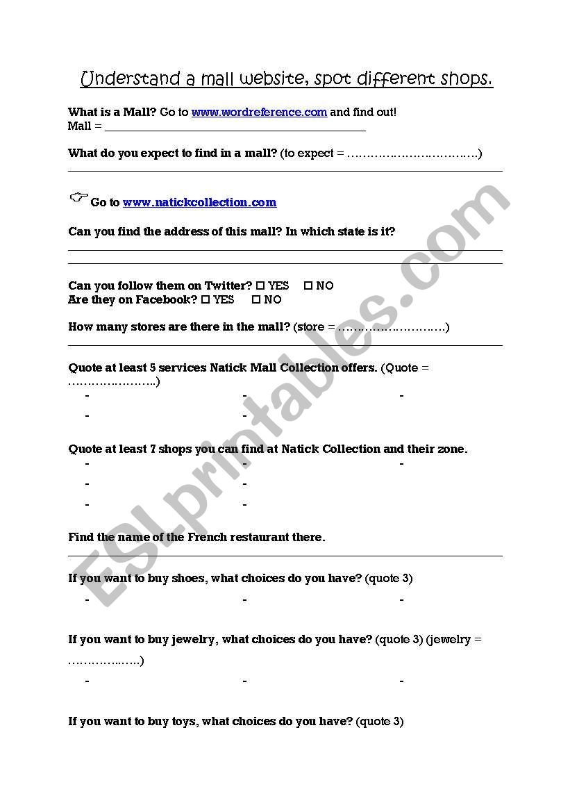 Understand a Mall Website worksheet