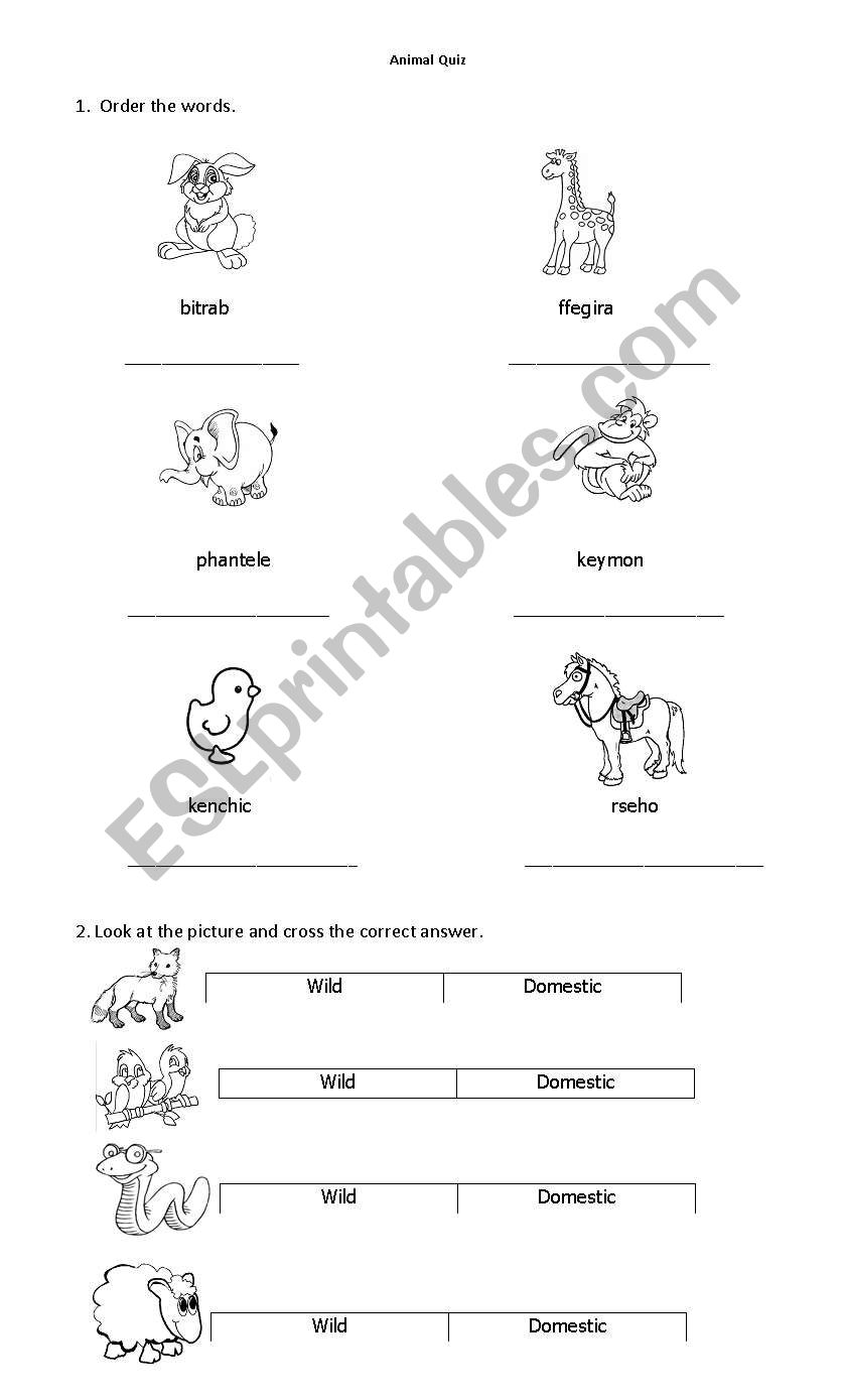 animal quiz worksheet