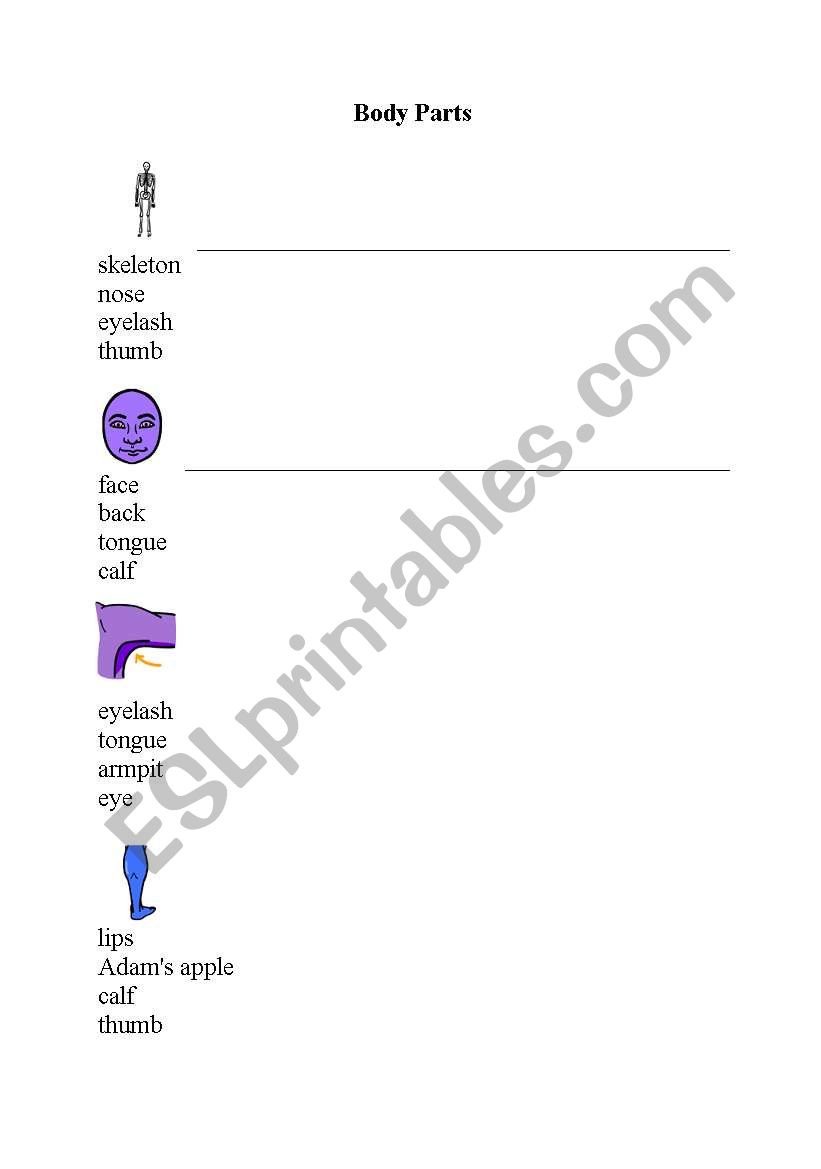 Body parts worksheet