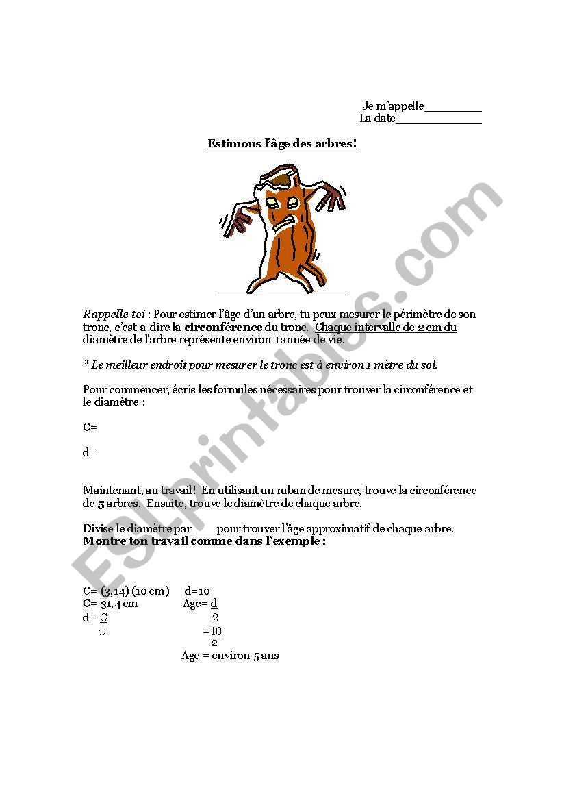 circumference worksheet