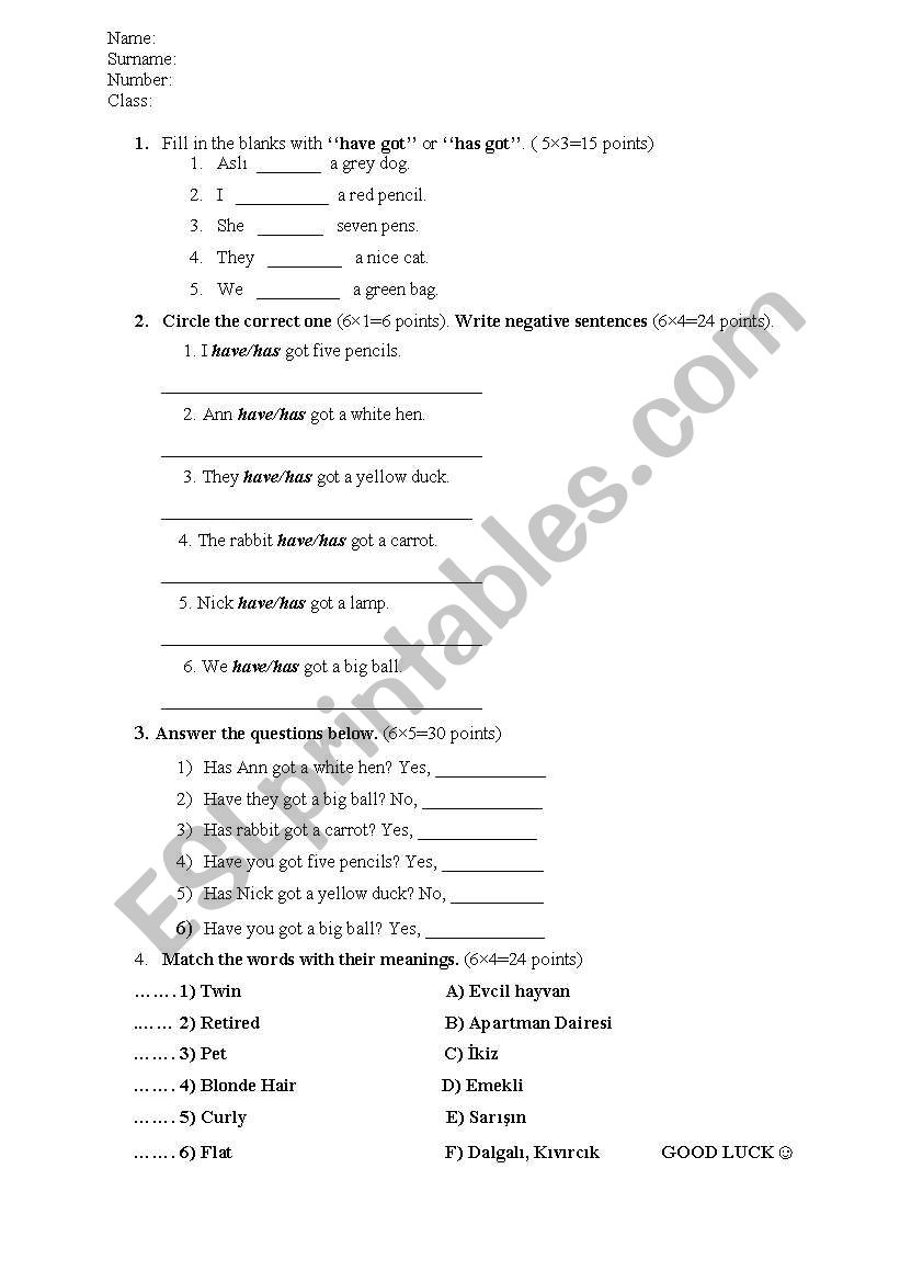 have got/has got worksheet