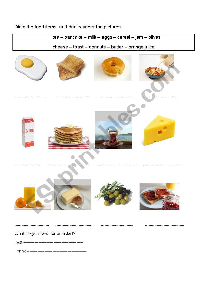 food workshhet worksheet