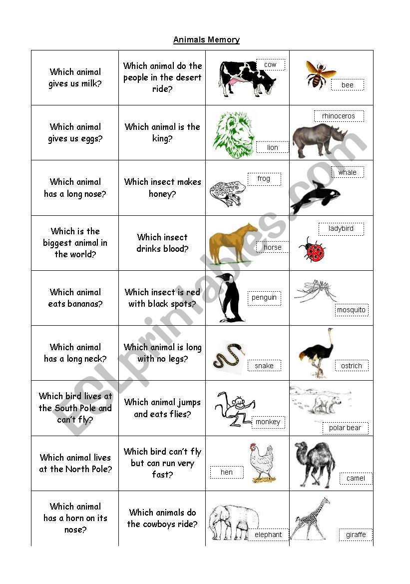 Animals quiz worksheet