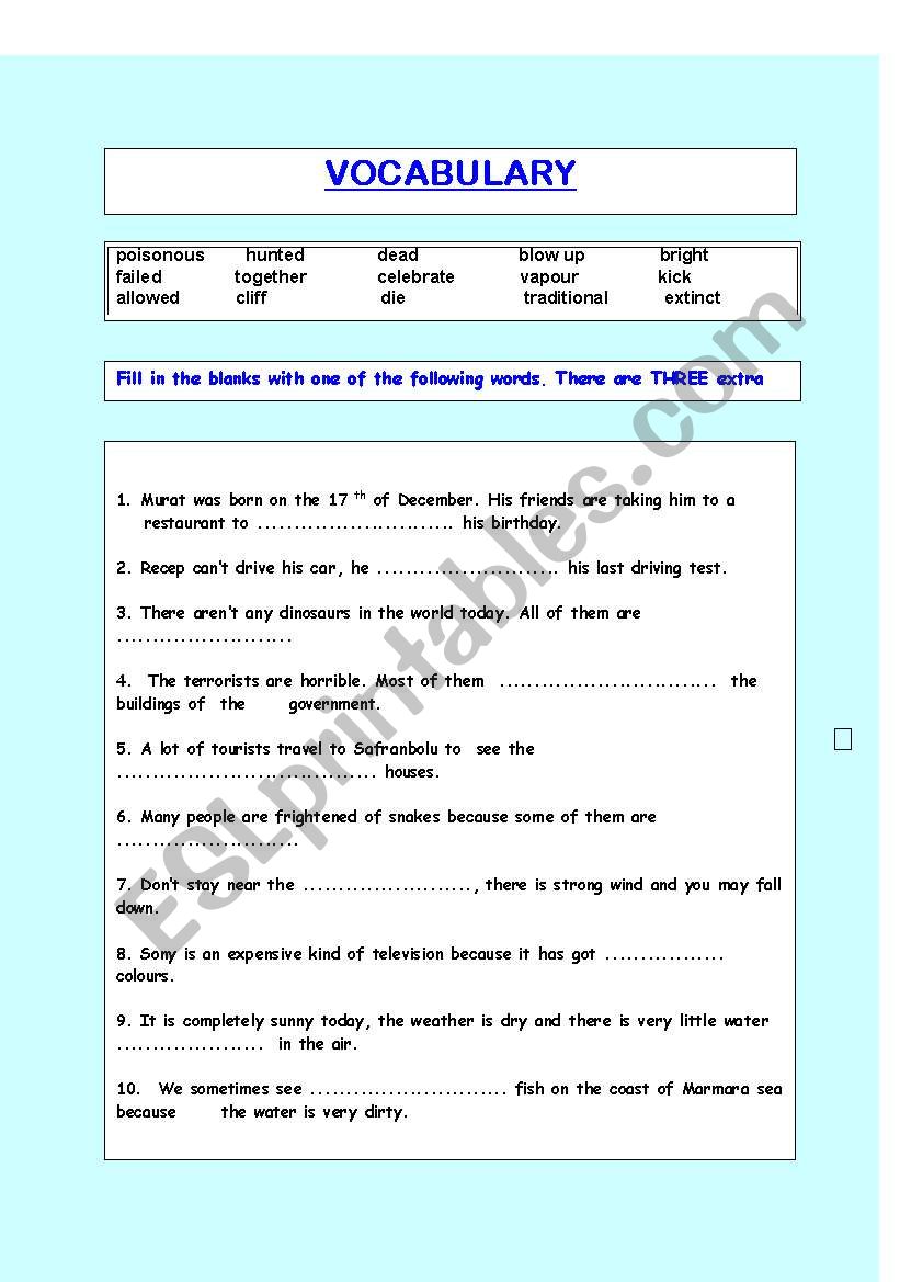vocabulary exercises answers are included