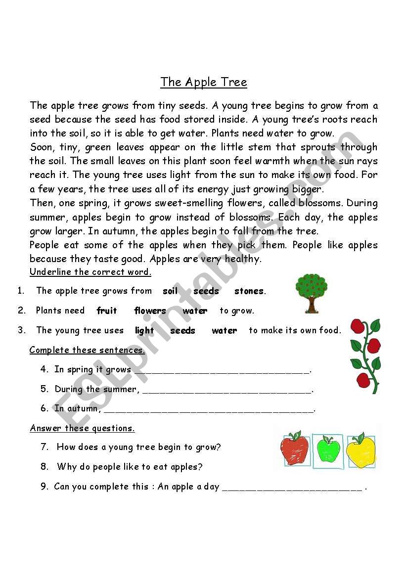 The Apple Tree - ESL worksheet by ceppoqueen