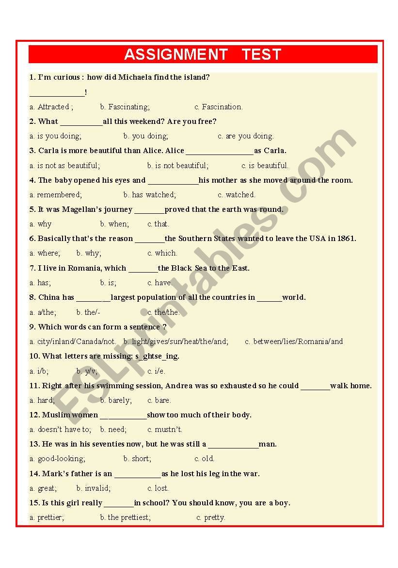 ASSIGNMENT  TEST worksheet