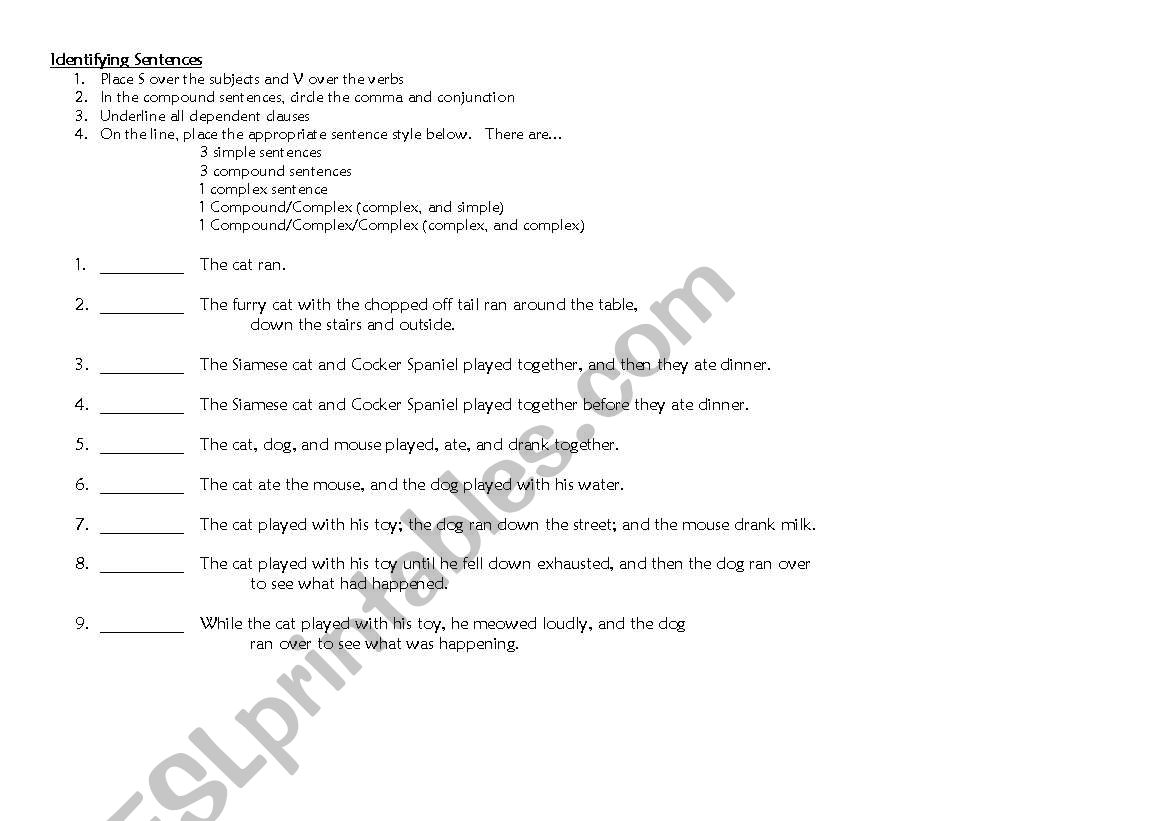 Identifying Sentences worksheet