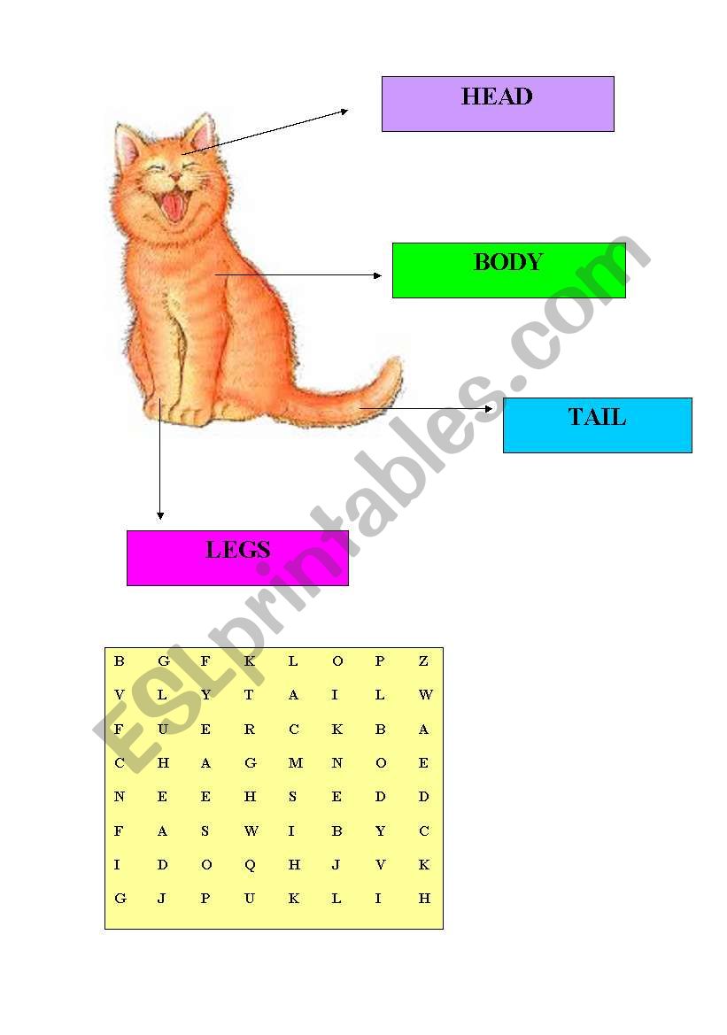 animal body parts  worksheet