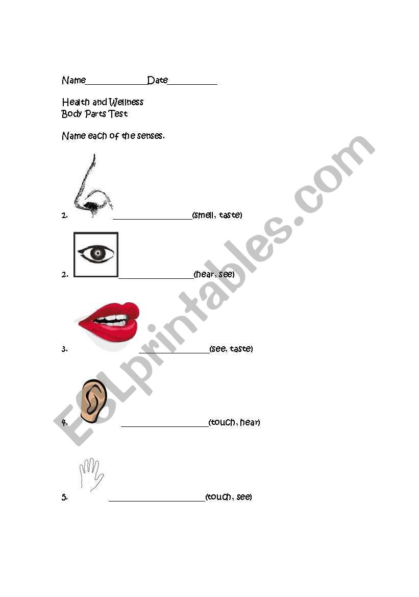 Body Parts Test worksheet