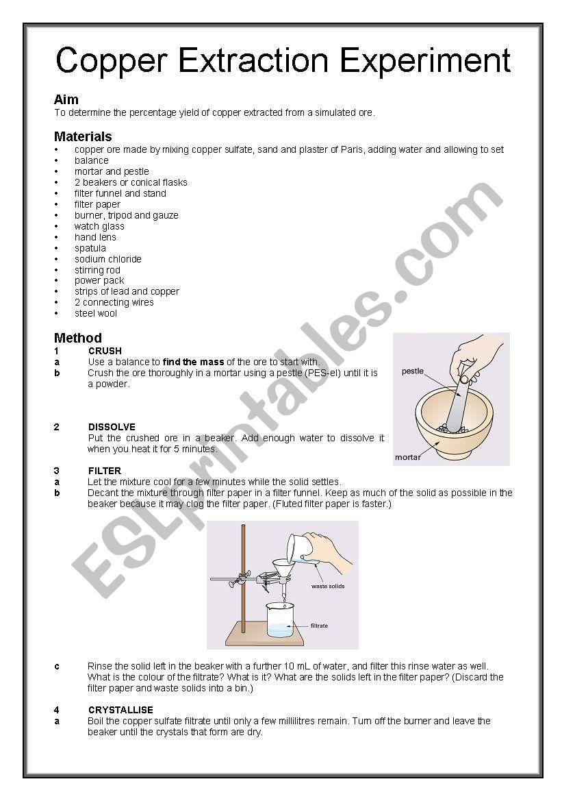 Copper Extraction Experiment worksheet