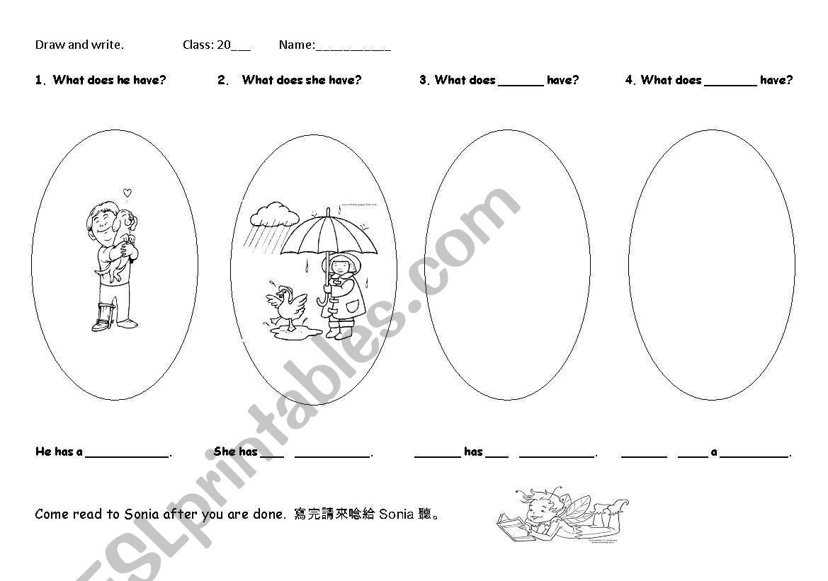 has/ have usage  worksheet