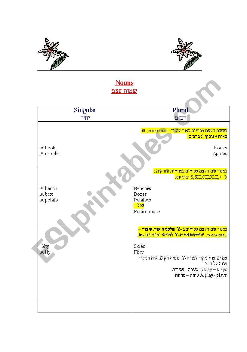 Singular - Plural  worksheet