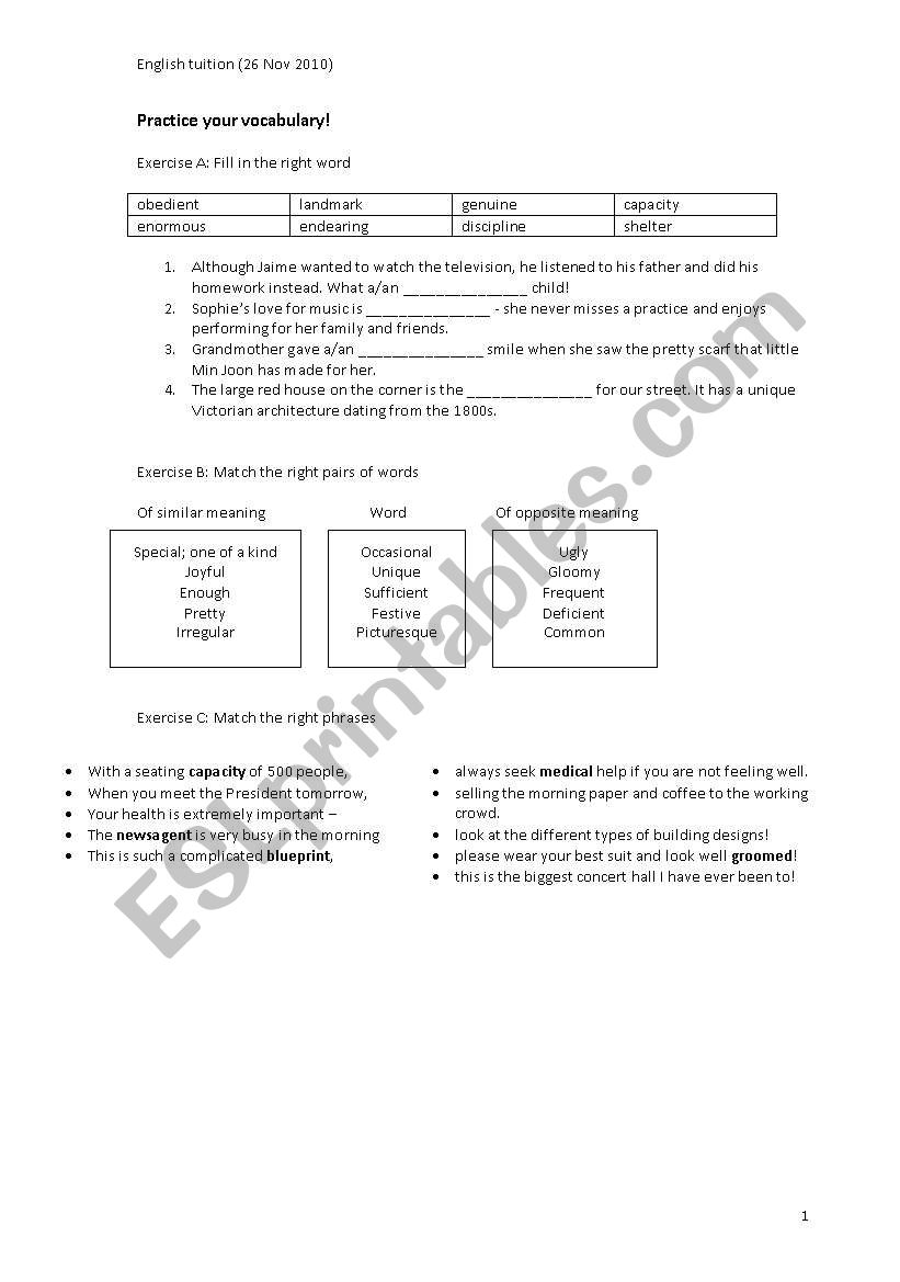 Vocabulary exercise worksheet