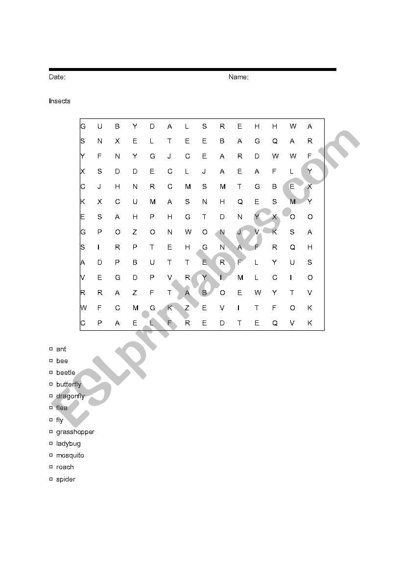 insects  worksheet