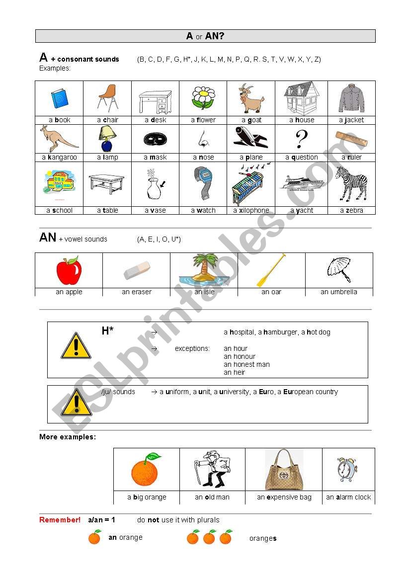 A or AN? worksheet