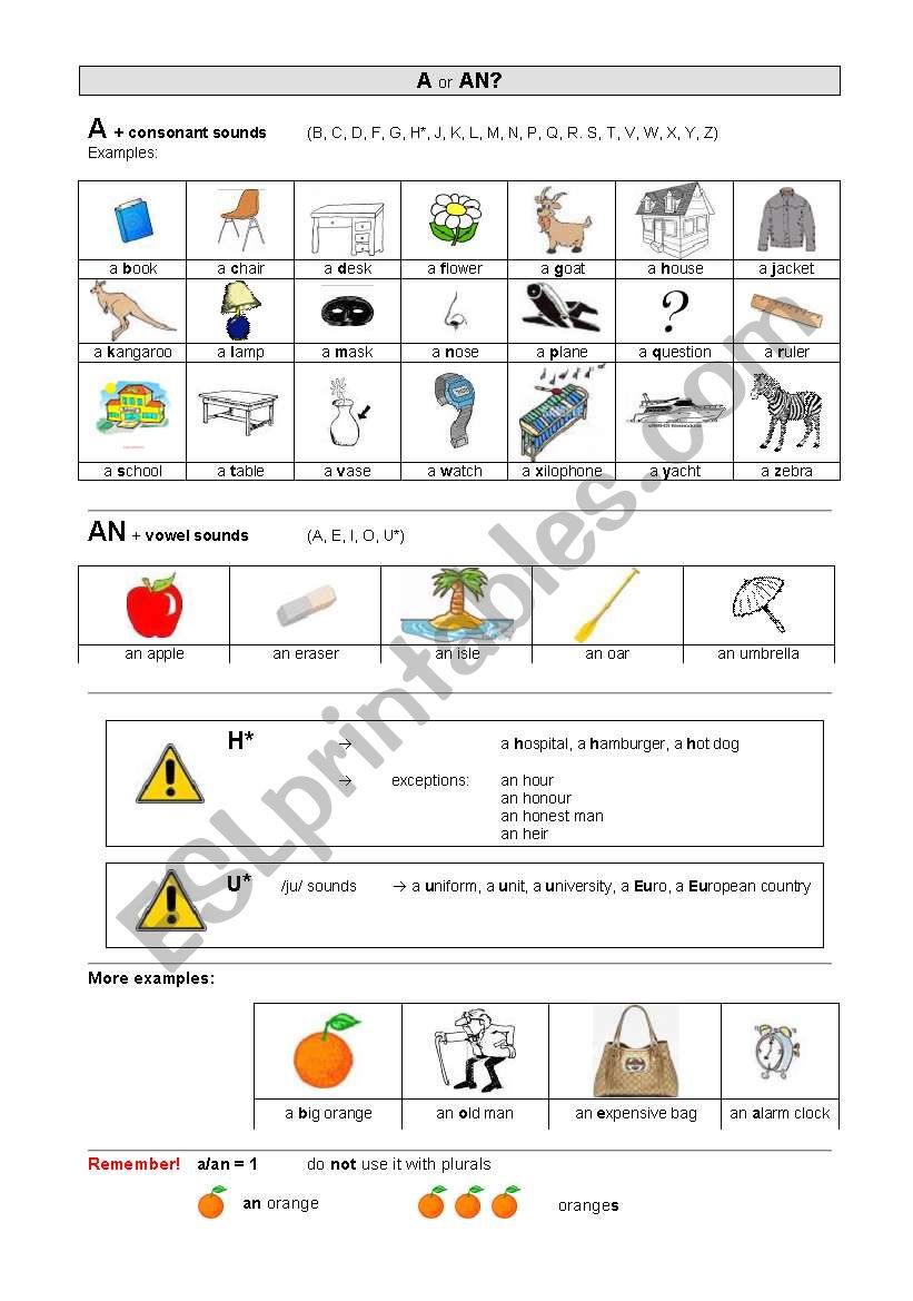 A or AN? worksheet