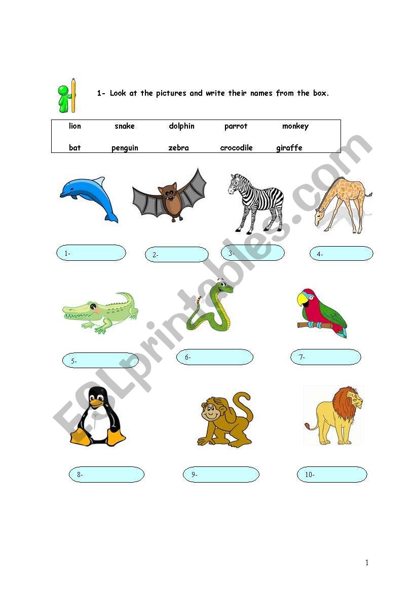 writing the names of the animals 