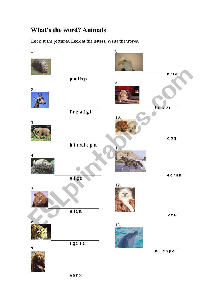 What´s The Word? Animals - Esl Worksheet By Curunir