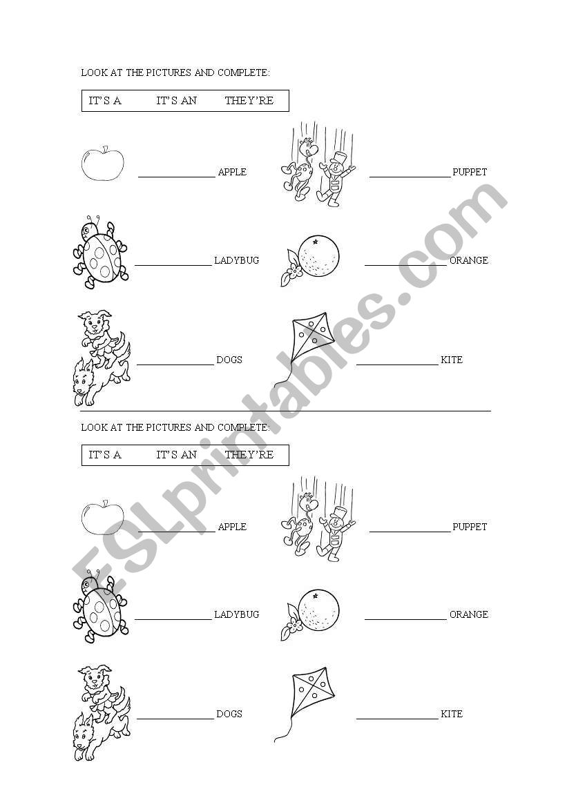 A/An/They are worksheet