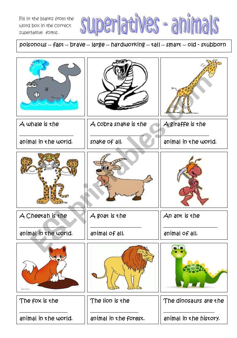 Superlatives Animals ESL Worksheet By Gyzmys