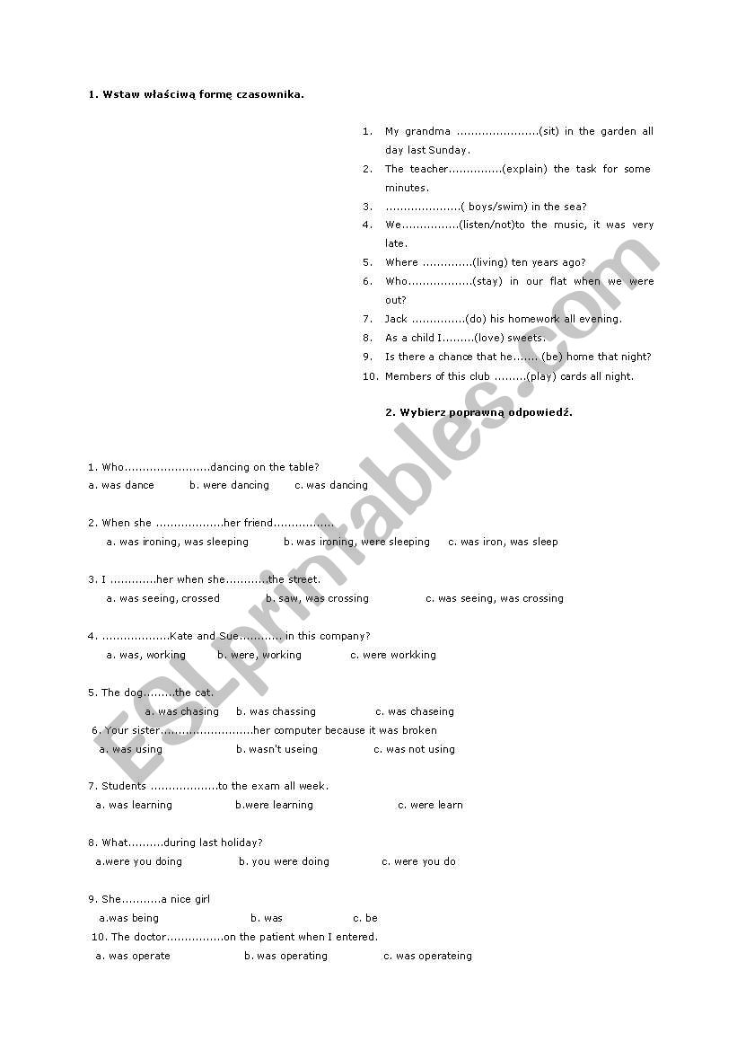 Past Continuous. worksheet